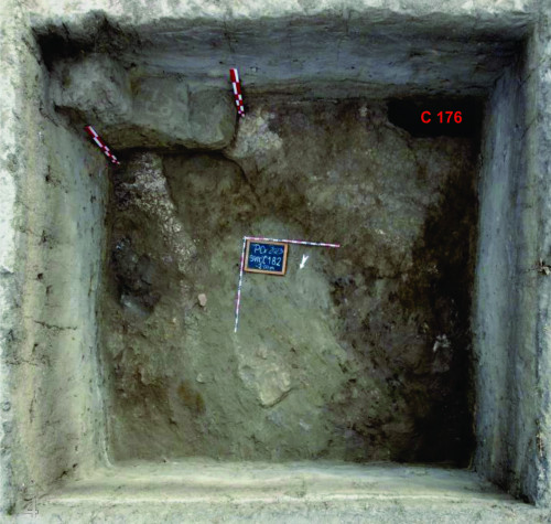 Fig. 4. S VIII, -2.00 m.